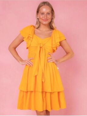 Ivy City Co. Sonny Dress - NWT